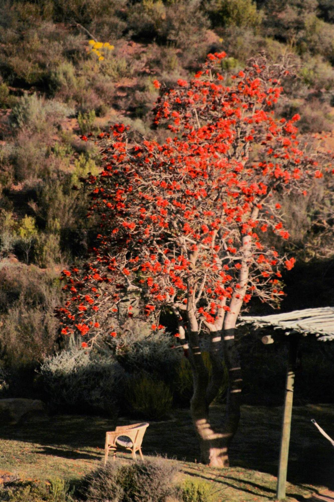 Bobbejaans Kloof Mountain Retreat Holiday home Montagu